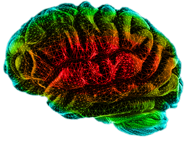 neowake Gehirn 3